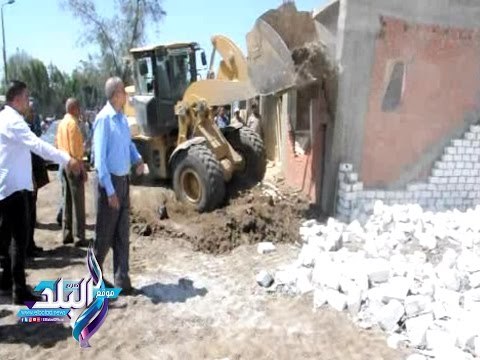 صدى البلد | استرداد 201 فدان من قبضة المعتدين على أراضى الدولة بالقليوبية