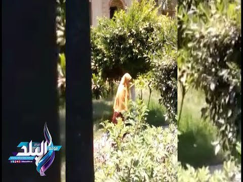 صدى البلد | ارتياح بين طلاب الثانوية العامة بالمنوفية لسهولة امتحان اللغة العربية