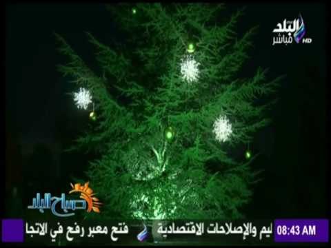 صباح البلد - حدائق النباتات تتحول إلى عالم سحري في احتفالات أعياد الميلاد