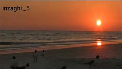 مقطع قران مؤثر جدا للشيخ فارس عباد