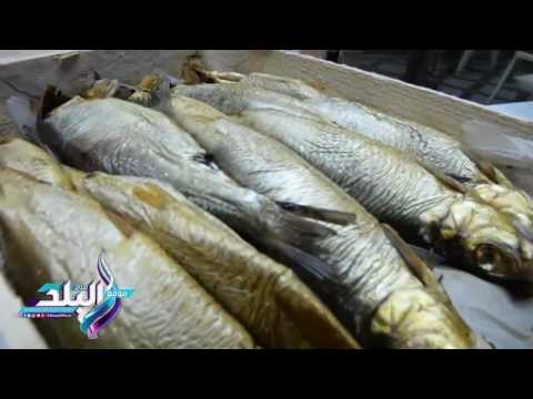 صدى البلد | اسعار الرنجة و الفسيخ تزامنا مع اقتراب عيد الفطر المبارك