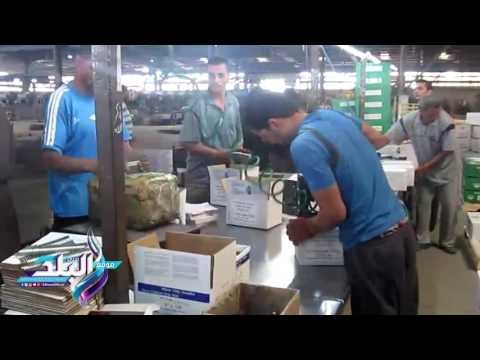 صدى البلد | جولة للرقابة الإدارية بمصانع المنطقة الصناعية في الفيوم