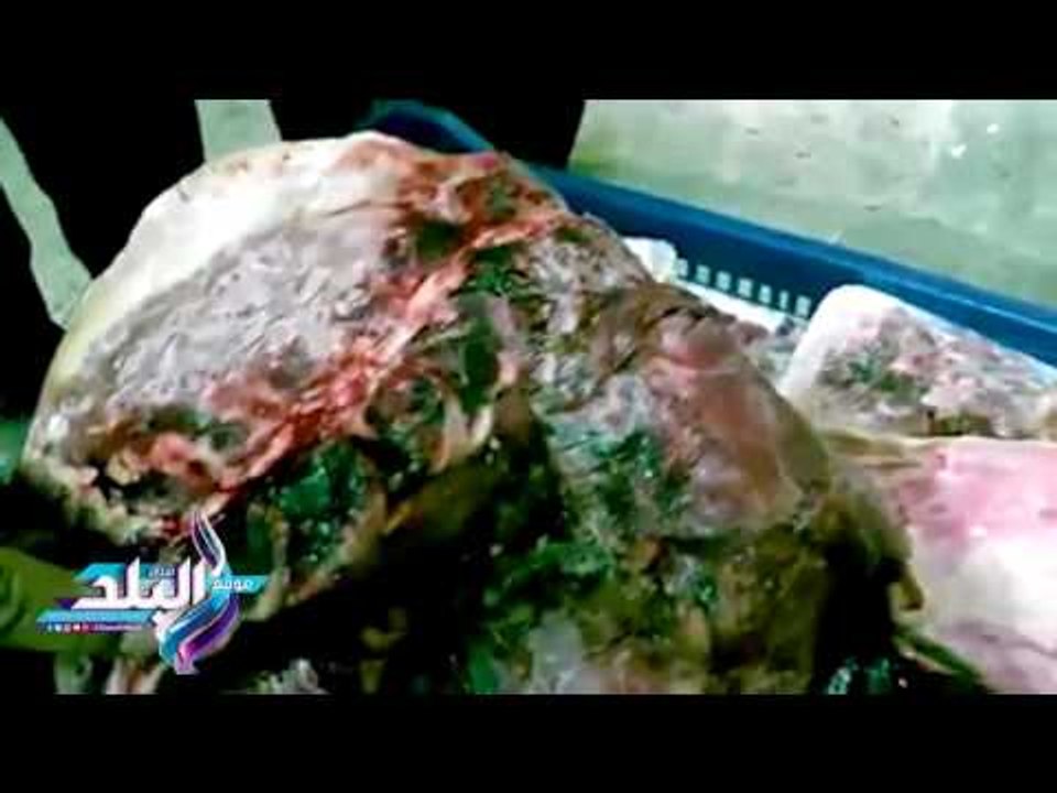 صدى البلد | ضبط طن لحوم فاسدة لدى جزار في عابدين