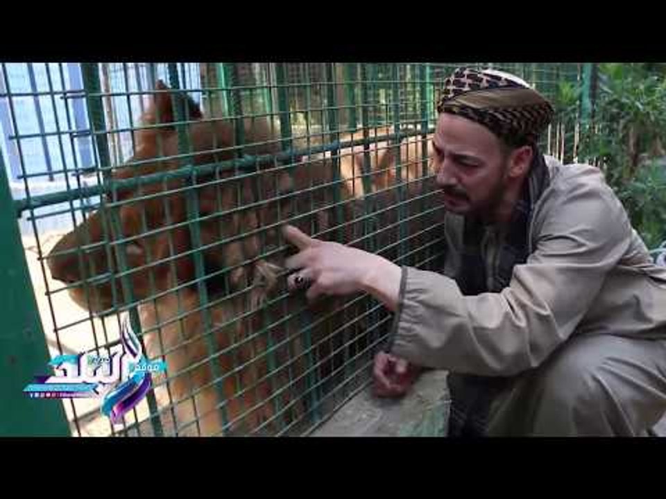 صدى البلد | "أفريكانو طلبة" حديقة حيوان أبو رواش بمواصفات عالميه