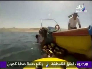 صباح البلد | أخطر عملية لإنقاذ "حوت" تعلّق في شباك الصيادين