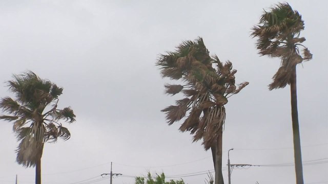 [날씨] 남해안·제주 국지성 호우...전국 공기는 깨끗 / YTN