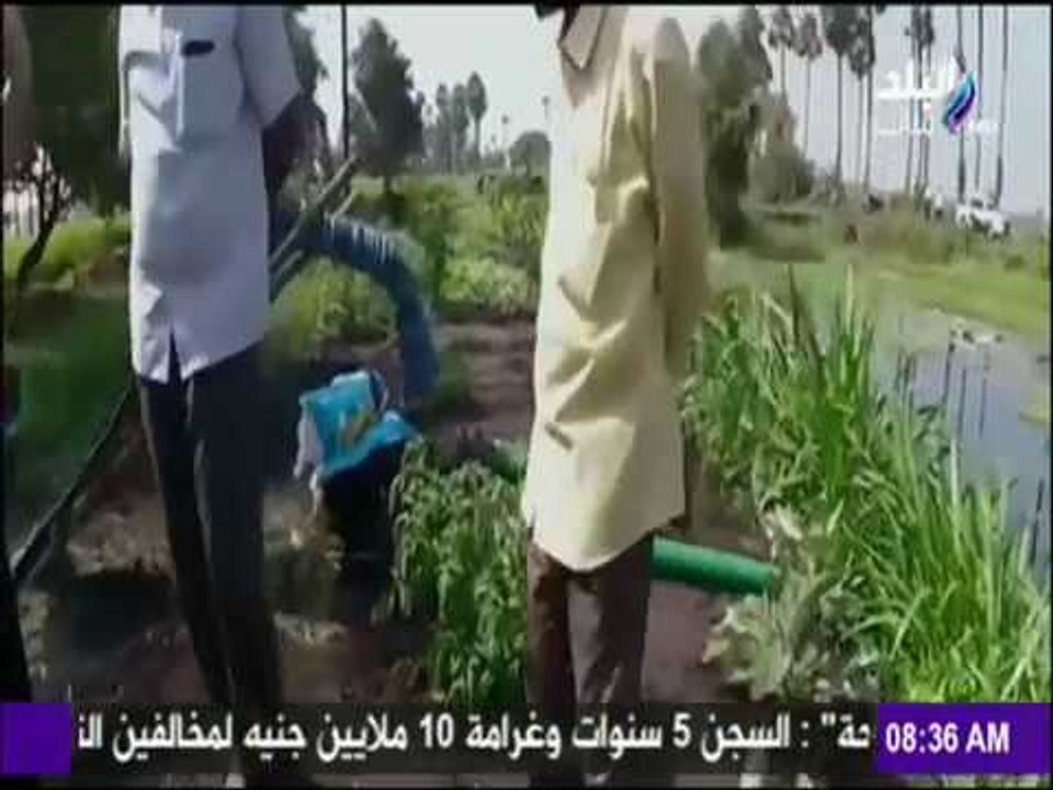 صباح البلد | تطبيق هاتفي للمزارعين يكشف عن الأمراض الموجودة بالمحاصيل