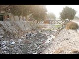 صباح البلد | بُحيرات مصر تتحول إلى مقالب للقمامة