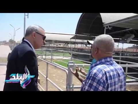 صدى البلد | محافظ قنا يتفقد مشروعات الأمن الغذائي