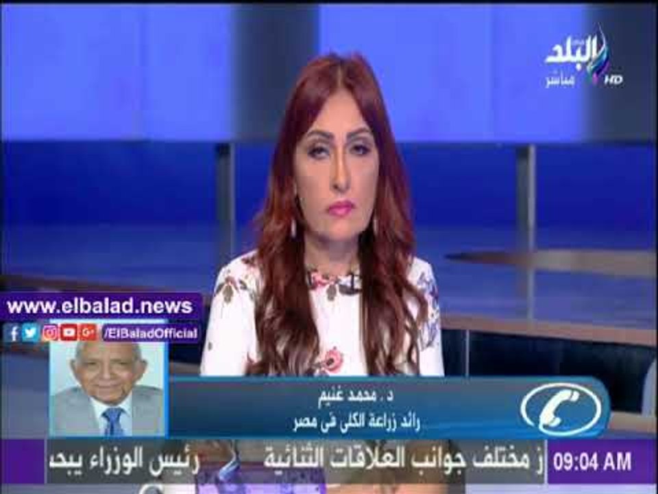 صدى البلد |محمد غنيم: قانون الجامعات فاسد ولابد من تعديله