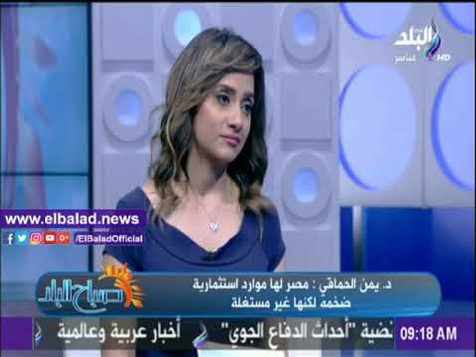 صدى البلد |الحماقي: قانون الاستثمار ويعالج الكثير من السلبيات