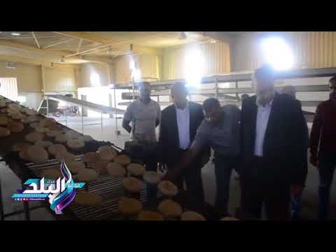 صدى البلد | محافظ قنا يحيل عدد من مفتشي التموين للتحقيق