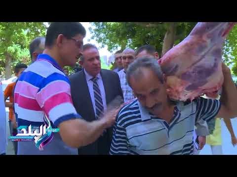 صدى البلد | شرطة التموين تضبط 140 طن لحوم فاسدة ومهربة قبل عيد الأضحى