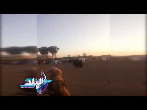 صدى البلد | الآلاف يؤدون صلاة عيد الأضحي ويرددون التكبيرات بساحات الغربية