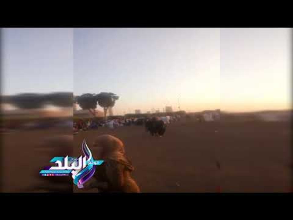 صدى البلد | الآلاف يؤدون صلاة عيد الأضحي ويرددون التكبيرات بساحات الغربية