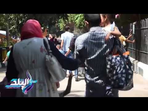 صدى البلد | الأطفال يستقلون الخيول بحديقة الحيوان فى ثالث أيام العيد