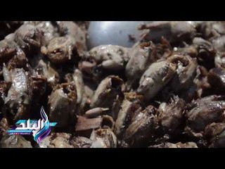 صدى البلد | بائع متجول يجذب رواد سوق الجمعة بالعصافير المحمرة.. الواحدة ب"جنية ونص "