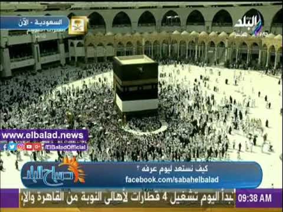 صدى البلد |أزهري: عرفات هو الركن الأساسي في الحج وعدم صعوده يبطل الفريضة