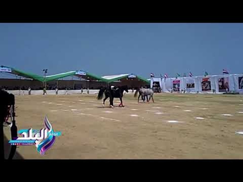 صدى البلد | افتتاح معارض الاسر المنتجة المشاركة بمهرجان الخيول العربية