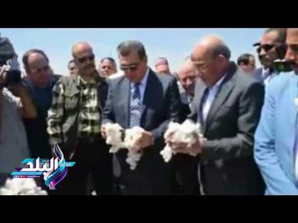 صدى البلد | وزير الزراعة ومحافظ الفيوم يفتتحان موسم جني القطن بالمحافظة