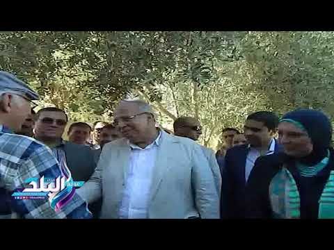 صدى البلد | وزير التنمية يكلف فنانا تشكيليا بتصنيع قطار للتوعية بحوادث الطرق بالفيوم