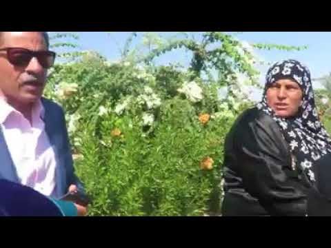 صدى البلد | مدير أمن الإسماعيلية يفحص السيارات بمدخل شمال سيناء