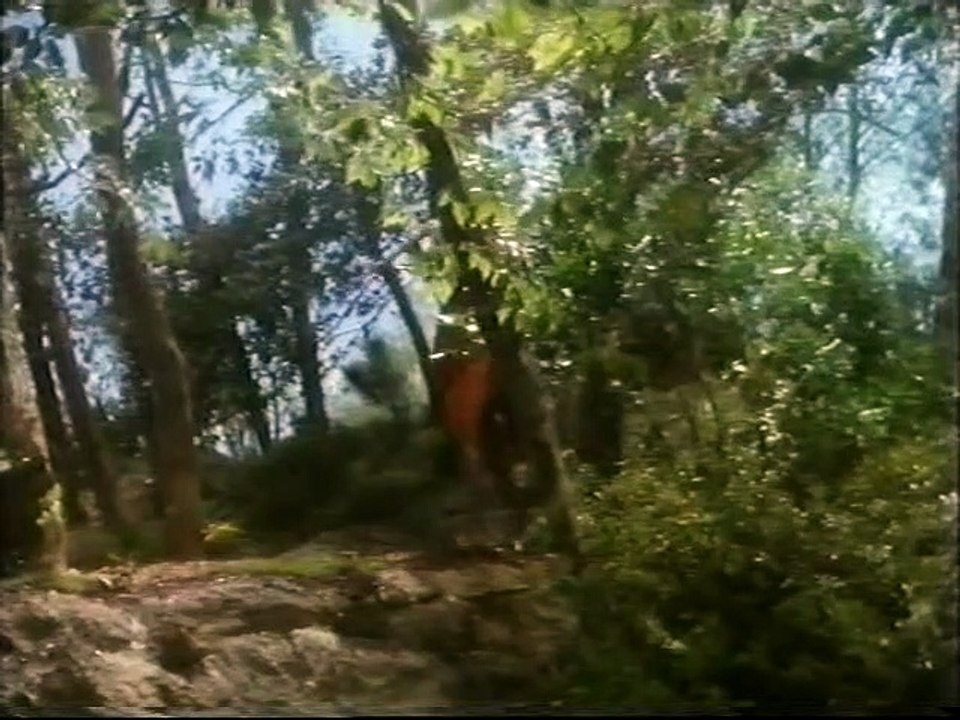 El cuentacuentos Capitulo 12 'Orfeo y eurydice'