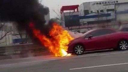 경부고속도로 달리던 차량에서 불 / YTN