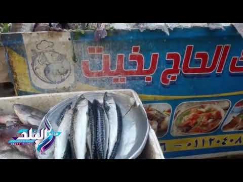 صدى البلد | أسعار الخضروات والفاكهة بالأسواق بسوق الدقي