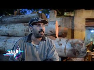 صدى البلد | ورش السبتية .. قصة تحول «شجرة» لـ«منزل كلب» ‎