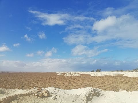 صدى البلد | إهالى النجيلة : سلمنا الاراضى طواعية لإنشاء ميناء جرجوب حبا فى مصر