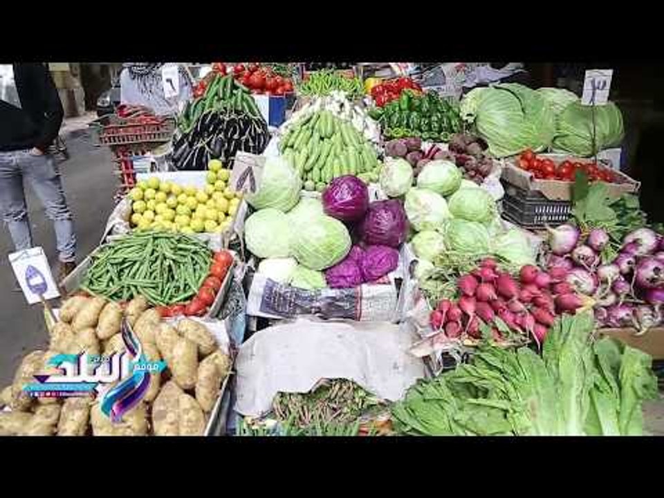 صدى البلد | أسعار الأسماك و الخضراوات و اللحوم  بالأسواق.