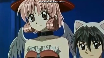 토토솔루션 토토사이트제작 절차 및 업체 선정시 위험요소 해결