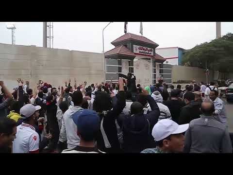 صدى البلد | شاهد... الوايت نايتس يهتف أمام الزمالك: سلمية .. سلمية