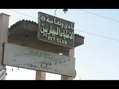 صدى البلد | نقيب البيطريين لـ صدى البلد : اطالب باقالة محافظ الغربية وأسيوط