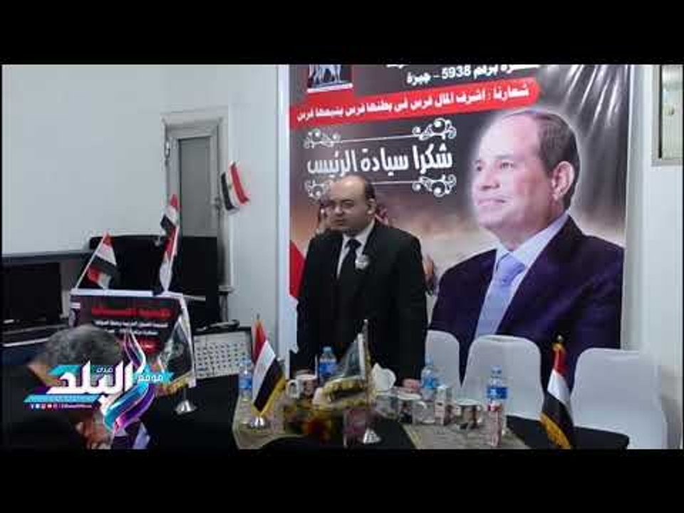 صدى البلد | رفع الحظر عن تصدير الخيول المصرية