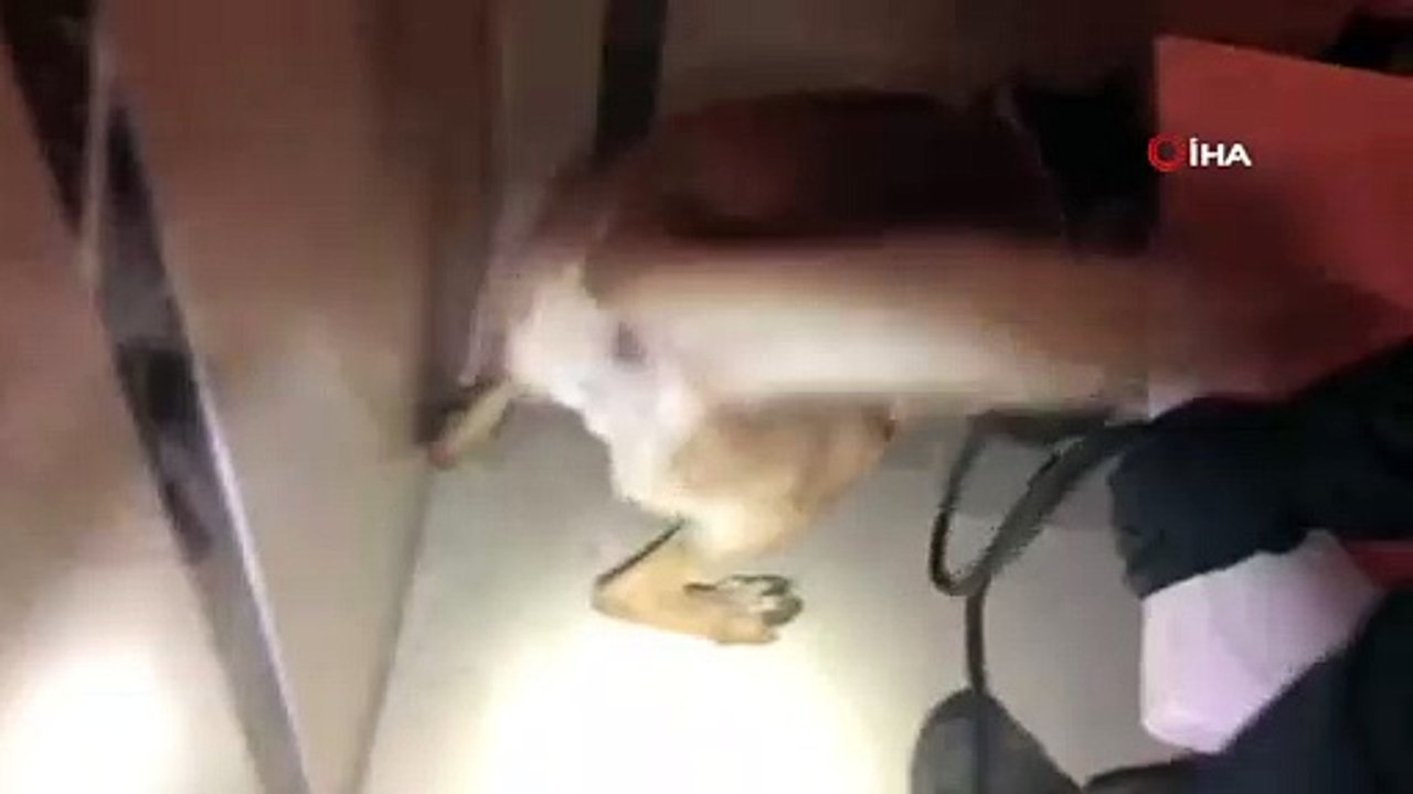 Banyo küvetine zulalanmış 7 kilo afyon sakızı ele geçirildi