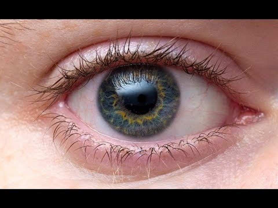 صدى البلد |  الدكتور الهندي:يوضح كيفية استفادة...