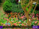 صباح البلد - فى عيد الربيع تعرف على تاريخ أشهر حدائق القاهرة