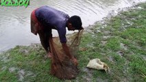 Cast Net Fishing In The Village Canal HD
