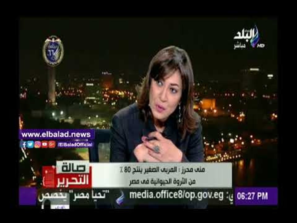 صدى البلد |«الزراعة»: القطاع الريفي ينتج 300 مليون طائر سنويا