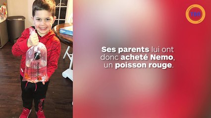 Un garçon veut faire un câlin à son poisson rouge