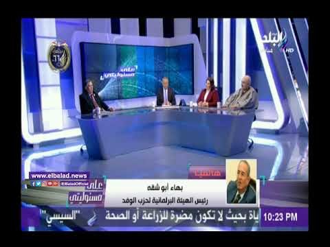 صدى البلد |الوفد: رأينا في السيسي ما يمثل حزب الوفد