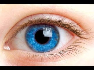 صدى البلد |  تعرف على مرض "الجلوكوما" وطريقة علاجه