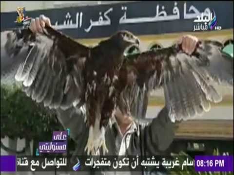 على مسئوليتي - أحمد موسى - عن واقعة نسر كفر الشيخ : شئ لا يصدق