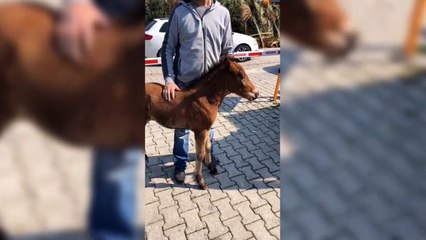 Gizem Karaca Arkadaşları İle Çok Eğlendi!