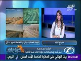 صباح البلد - تعرّف على النشرة المرورية الصباحية .. 