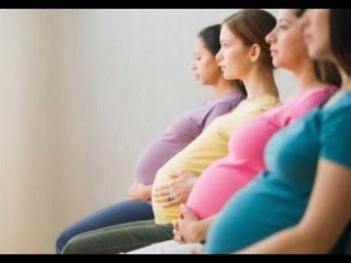 صدى البلد |  أكرم العدوى : ٤٠% هي النسبة الطبيعية لحدوث الحمل في السنة الاولى