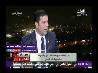 صدى البلد |غباشي: مشكلات العالم العربي انها تتحكم فيها قوى إقليمية