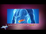 صدى البلد | بشري سارة  لمرضى السكر خلال ايام